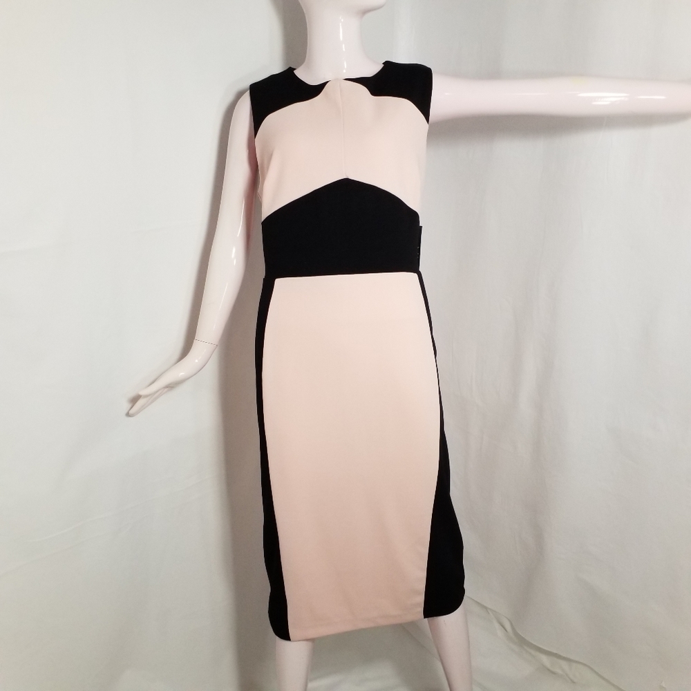 ❤❤New York & Company (NWT) Stretch Sheath Dress